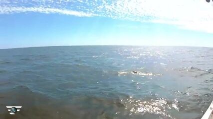 «Тунец под сорок кило»: третий выход в море у Дубая закрывает счёт