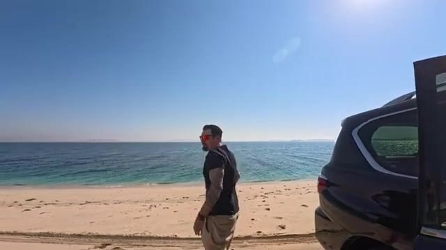 Ищу хамура у волнорезов Дохи: где катарский групер прячется от жары
