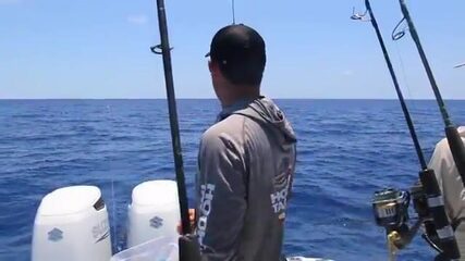 Три банки у рифа: где во Флорида-Кис держится группер