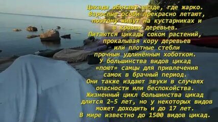 Скалы под Форосом, июльский штиль и первая барабулька