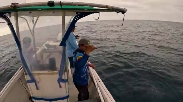 Два часа глухих забросов на тихоокеанском берегу Эквадора, а потом сковородка