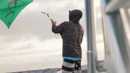Пять видов за одно утро в двух милях от Форт-Лодердейла (Флорида, США)