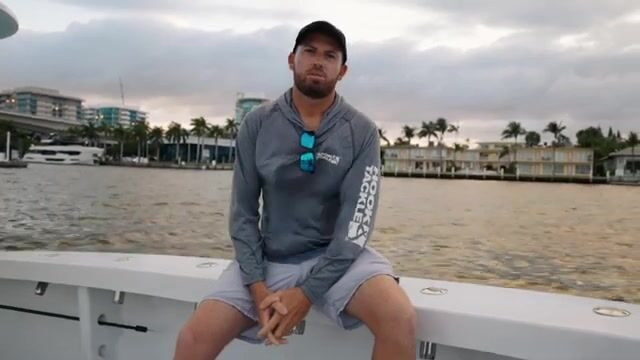Пять видов за одно утро в двух милях от Форт-Лодердейла (Флорида, США)