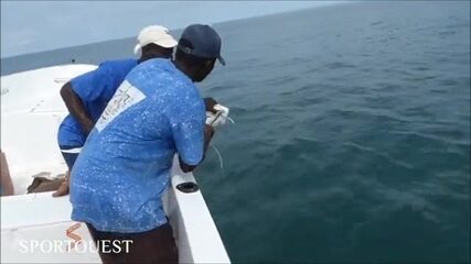 Гвинея-Бисау: океанский биг-гейм, где каранкс бьёт с разворота