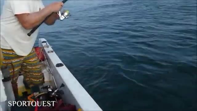 Гвинея-Бисау: океанский биг-гейм, где каранкс бьёт с разворота