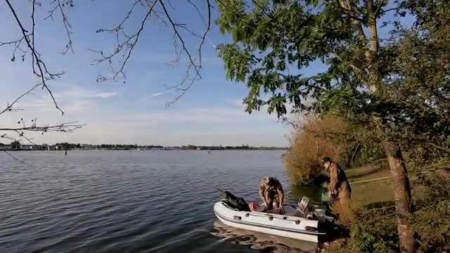 Первый выход на лодке в Голландии (мотор громче судака)