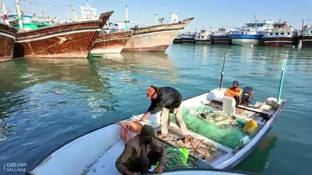 Полночь в Оманском заливе: фонарь на носу и десяток помфретов в садке