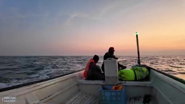 Полночь в Оманском заливе: фонарь на носу и десяток помфретов в садке