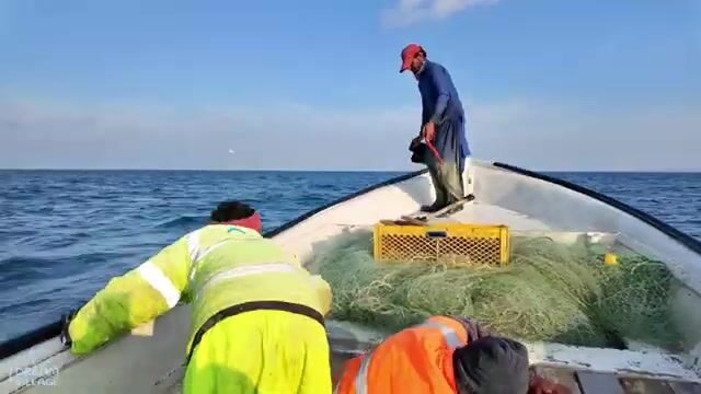 Полночь в Оманском заливе: фонарь на носу и десяток помфретов в садке