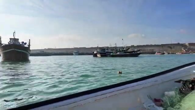 Полночь в Оманском заливе: фонарь на носу и десяток помфретов в садке