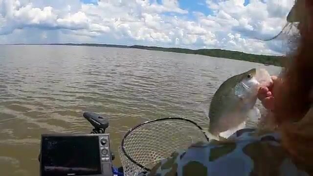 12 дюймов - разница между уловом и штрафом на озере Гренада в Миссисипи