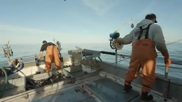 В заливе Аляска треска ловится сотнями, но не сегодня