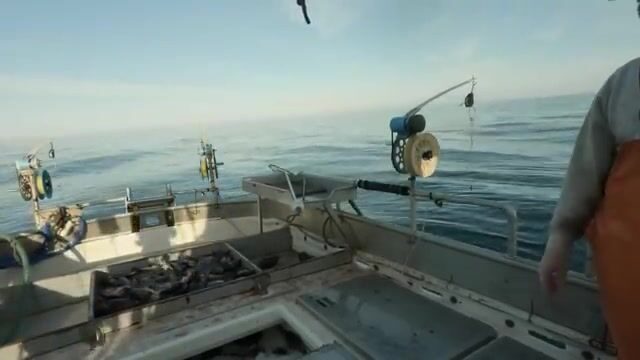В заливе Аляска треска ловится сотнями, но не сегодня