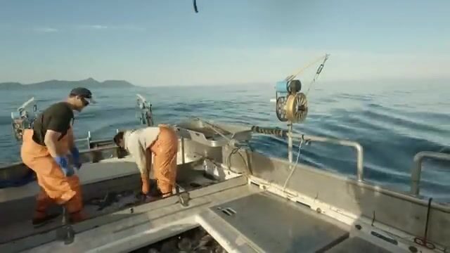 В заливе Аляска треска ловится сотнями, но не сегодня