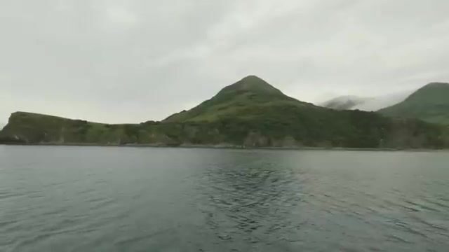 В заливе Аляска треска ловится сотнями, но не сегодня