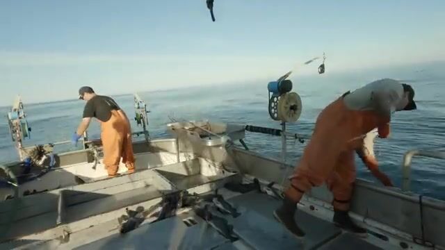 В заливе Аляска треска ловится сотнями, но не сегодня