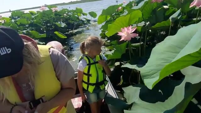Загляни на лотосы у Голубицкой и останься на рыбалку в «Малом Ахтанизе»