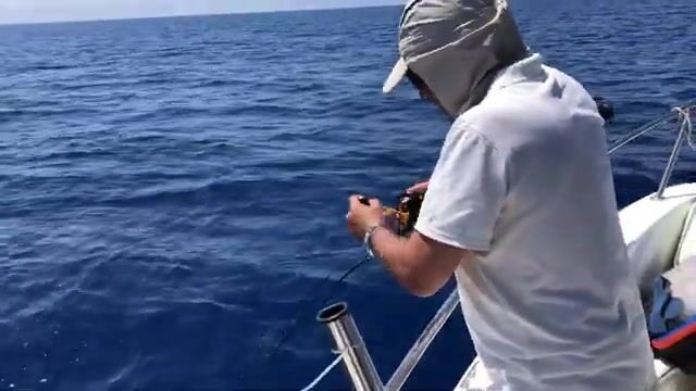 Хаммамет наизнанку: медленный джиг поднимает дентекса со дна