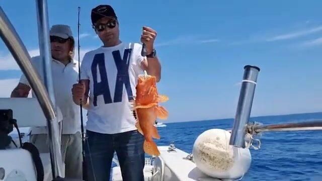 Хаммамет наизнанку: медленный джиг поднимает дентекса со дна