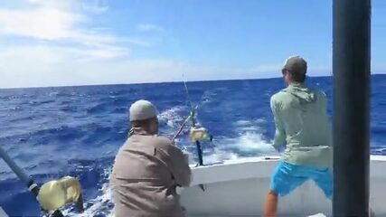 На Кауаи одним выходом берут аку, махи-махи и вахоо