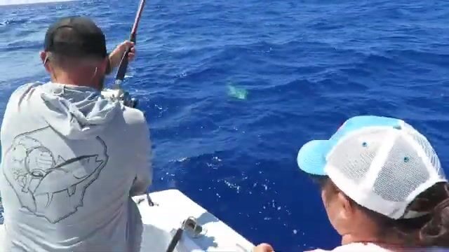 На Кауаи одним выходом берут аку, махи-махи и вахоо