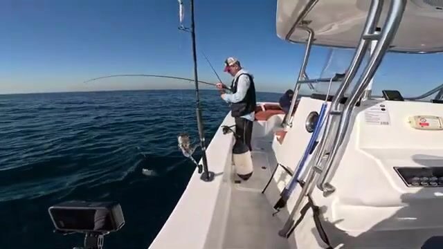 Почему в Джебель-Али под Дубаем меняют джиг на потяжелее