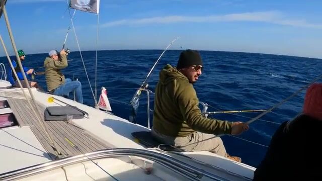 Израиль, Средиземное море: штиль с утра, луфарь - после обеда