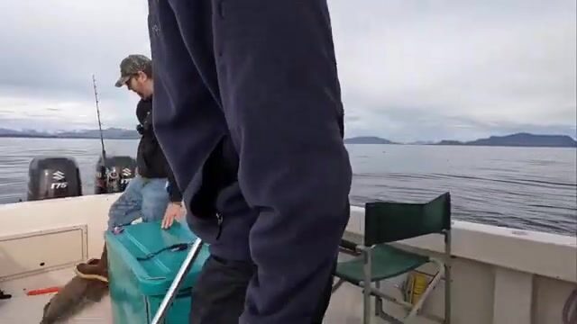 Туман над Кадьяком не мешает тянуть палтуса