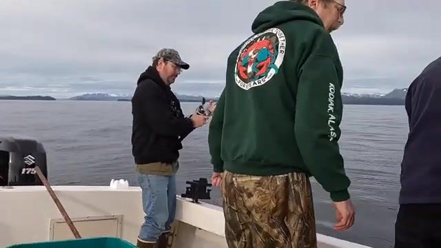 Туман над Кадьяком не мешает тянуть палтуса