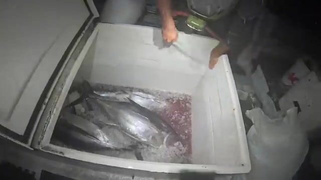 Хило, ночь. Восемь часов без поклёвки. Потом - рыба.