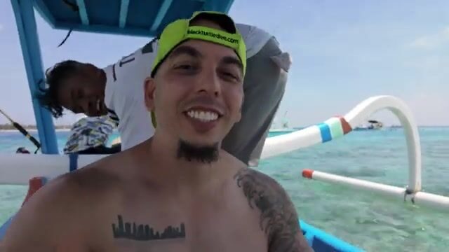 Дельфины на рассвете, рыба - вечером: будни Гили