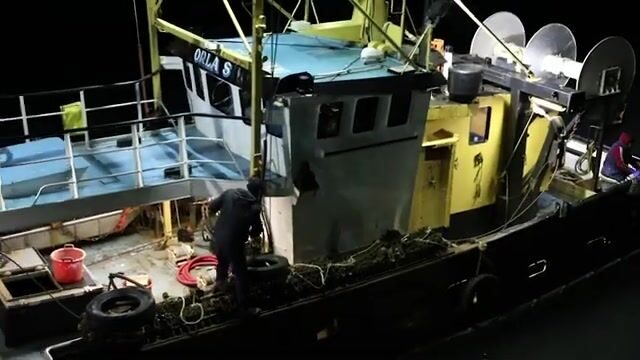 Гребешок и треска в Ирландском море: рабочие будни судна из Ардгласса