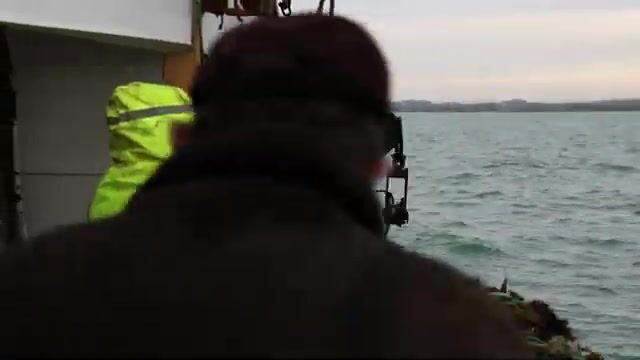 Гребешок и треска в Ирландском море: рабочие будни судна из Ардгласса