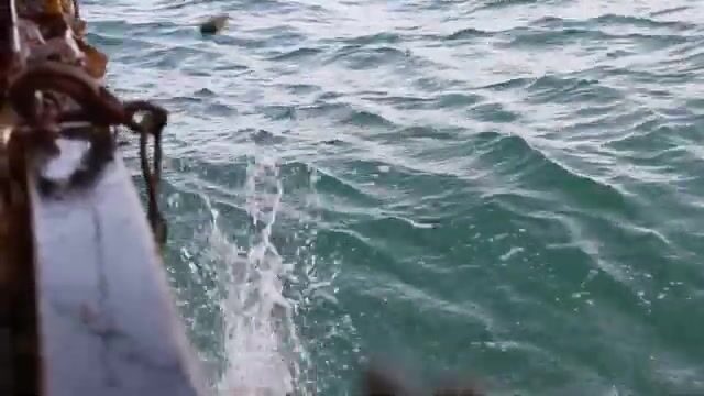 Гребешок и треска в Ирландском море: рабочие будни судна из Ардгласса