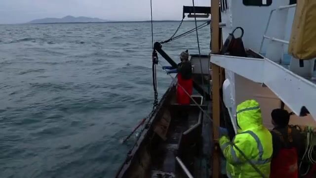 Гребешок и треска в Ирландском море: рабочие будни судна из Ардгласса