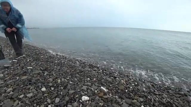 Сколько медуз выдержит пляж Имеретинки, прежде чем сдашься?