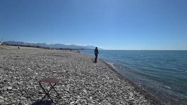 Сколько медуз выдержит пляж Имеретинки, прежде чем сдашься?