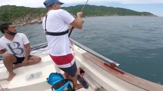 Иди ночью за кальмаром к рифам Ко Тао в Сиамском заливе