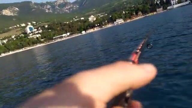 Клюёт ли ставрида в Гурзуфе, если мотор еле заводится?