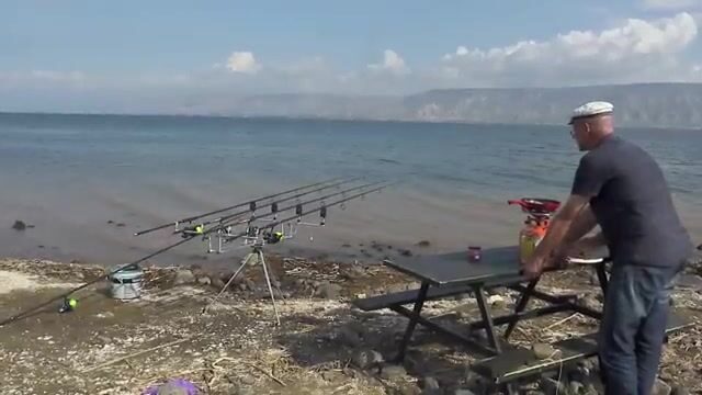 Пять тридцать утра на Кинерете, и спом с кукурузой уже работает
