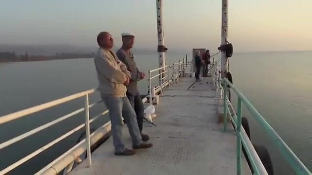 Пять тридцать утра на Кинерете, и спом с кукурузой уже работает