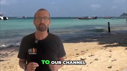 Собираетесь на Ко Тао? Берите шляпу и ловите тревалли в Сиамском заливе