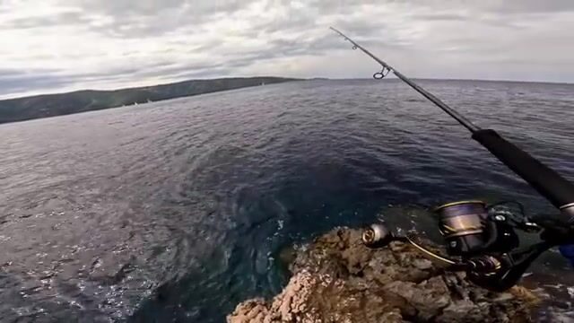 Обхожу три точки под скалами Хвара, и на третьей клюёт морской окунь на 2,3 кило
