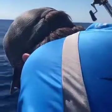 Кто держит камни у Ибицы, если не дорада и барракуда?