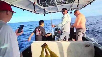 «Четыре из четырёх»: марлин и тунец на чартере у Гуама