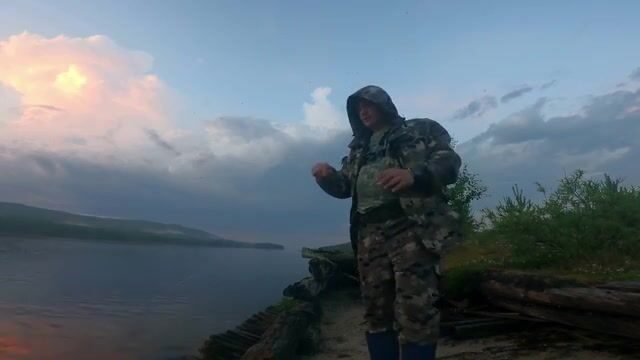 Кандалакшский залив: отлив, черви, треска