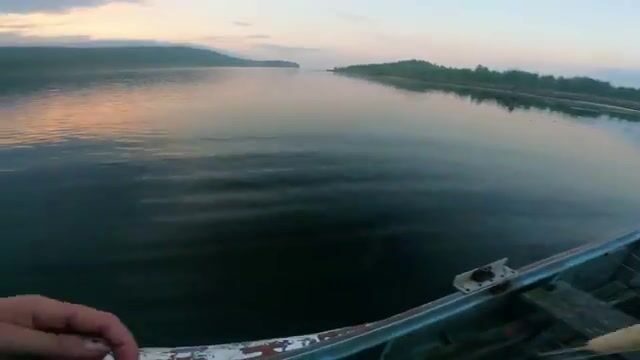 Кандалакшский залив: отлив, черви, треска