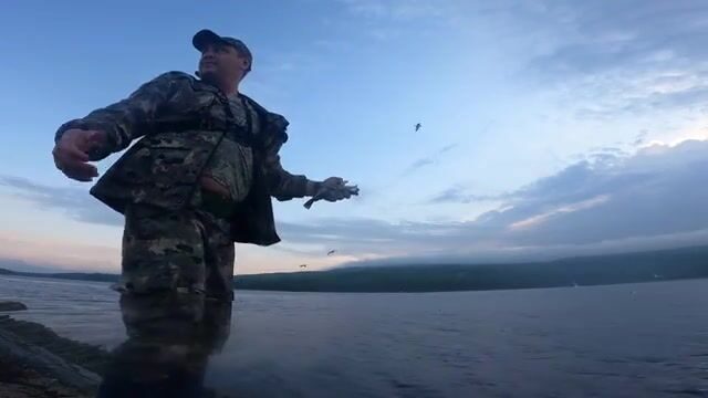 Кандалакшский залив: отлив, черви, треска