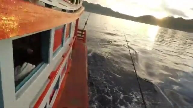 Риф у Ко Тао просыпается вместе с утренним течением