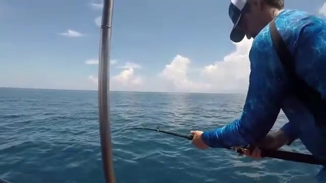Риф у Ко Тао просыпается вместе с утренним течением